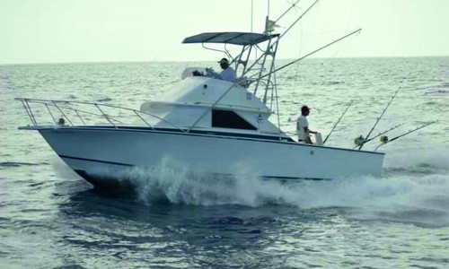 Sport Fishing